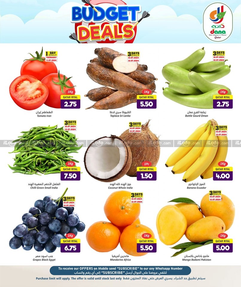 Page 2 at Budget Deals at Dana hypermarket Qatar