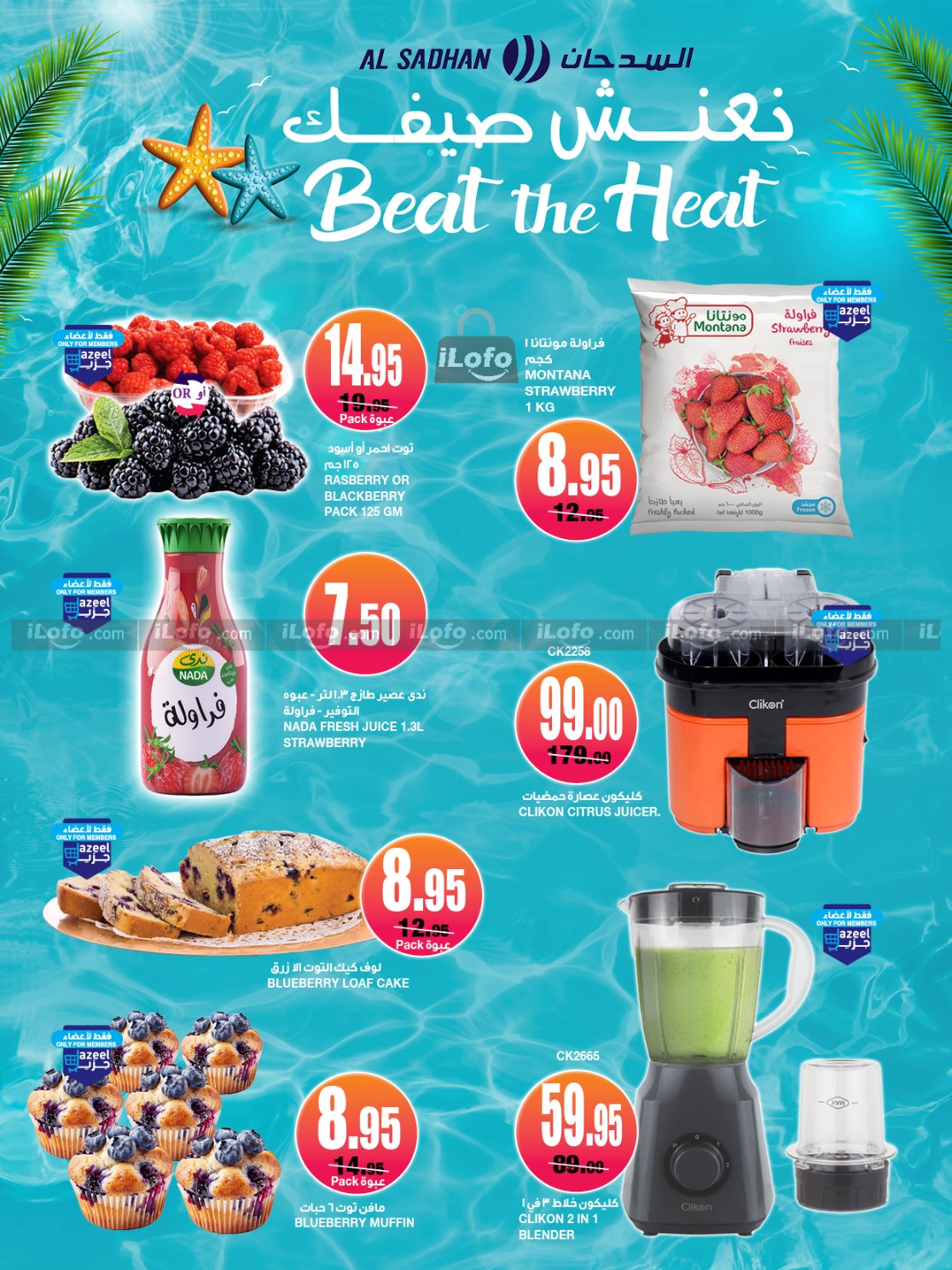 Page 4 at Pay Less Buy More Deals at Al Sadhan Stores KSA