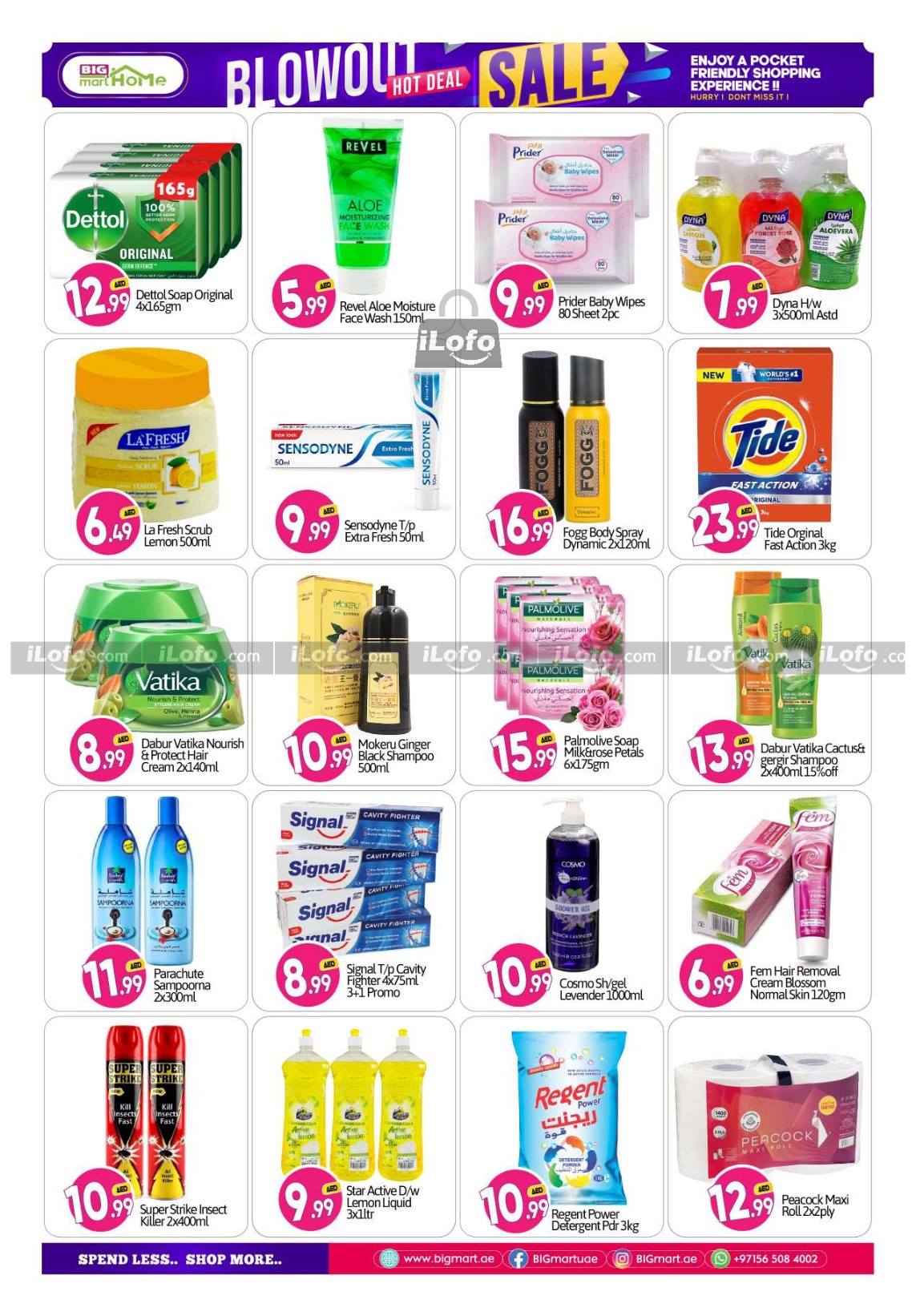 Page 9 at Blowout Sale at Big mart UAE