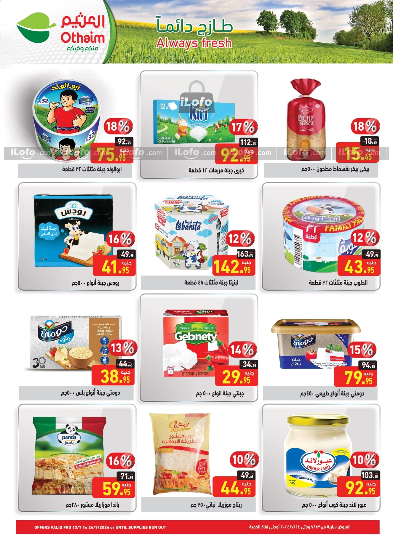 Page 13 at Anniversary offers at Othaim Markets Egypt