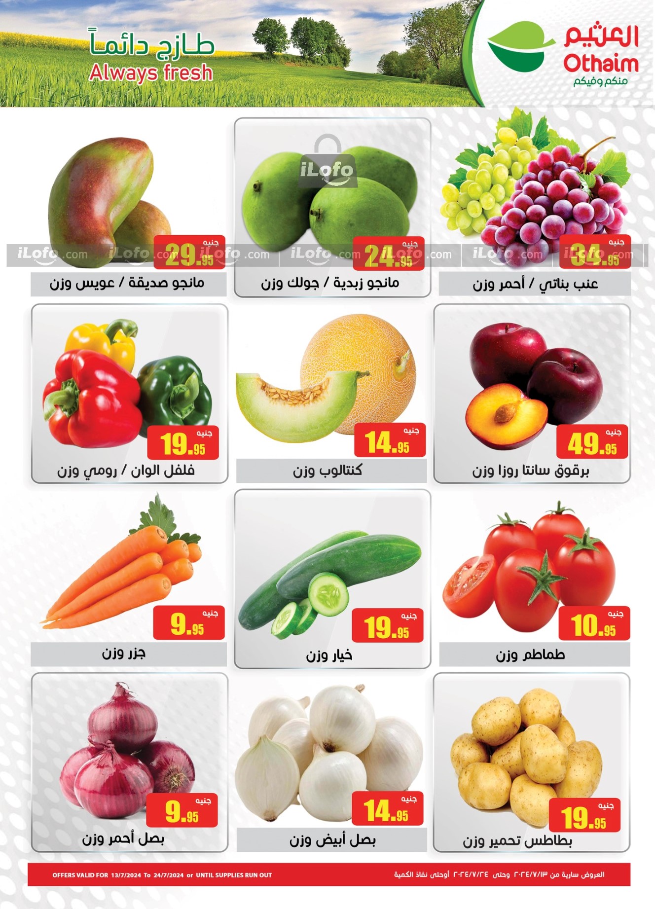 Page 2 at Anniversary offers at Othaim Markets Egypt