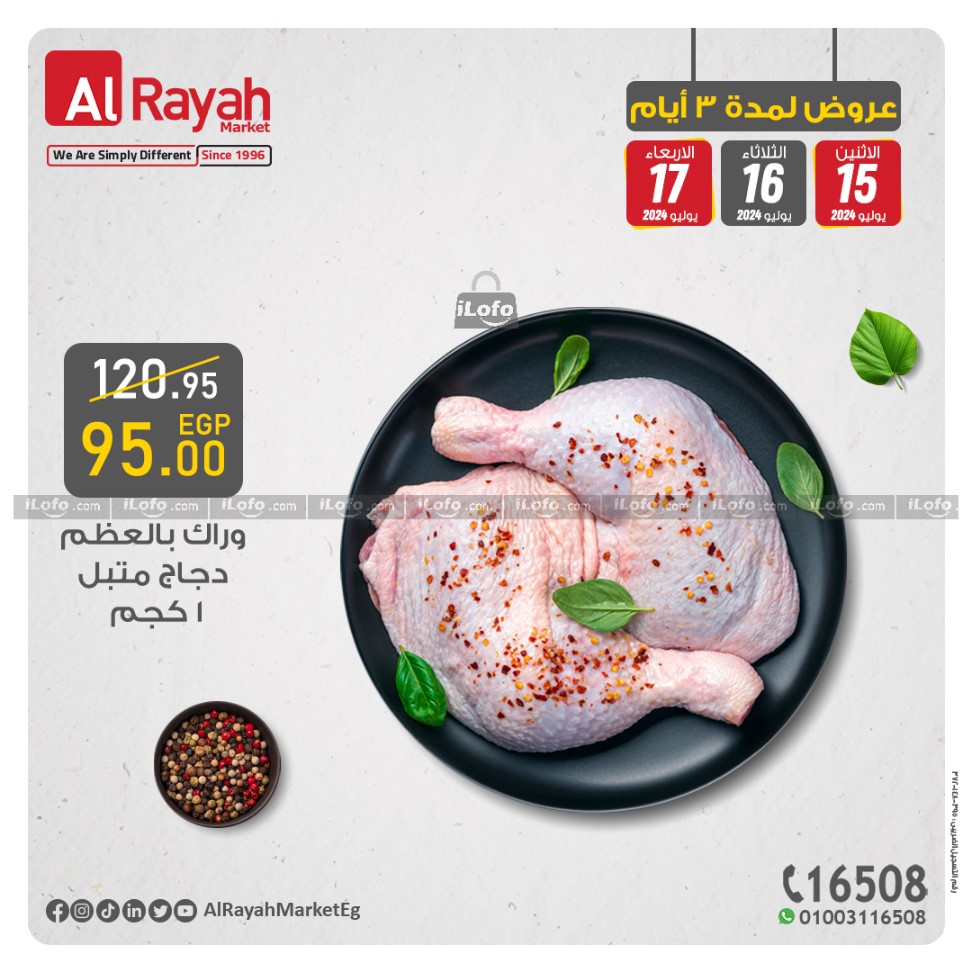 Page 5 at Best Offers at Al Rayah Market Egypt