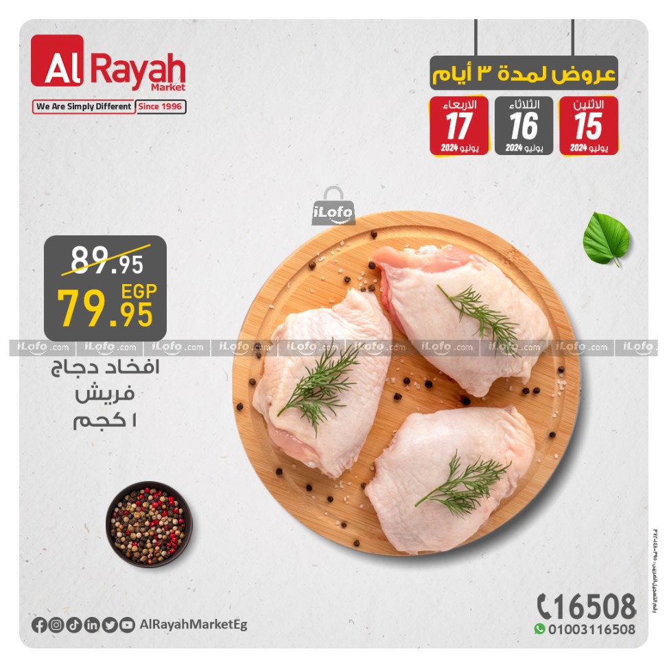 Page 9 at Best Offers at Al Rayah Market Egypt