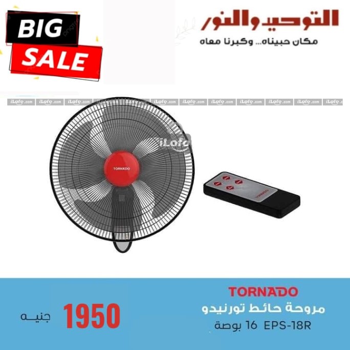 Page 7 at Summer Deals at Al Tawheed Welnour