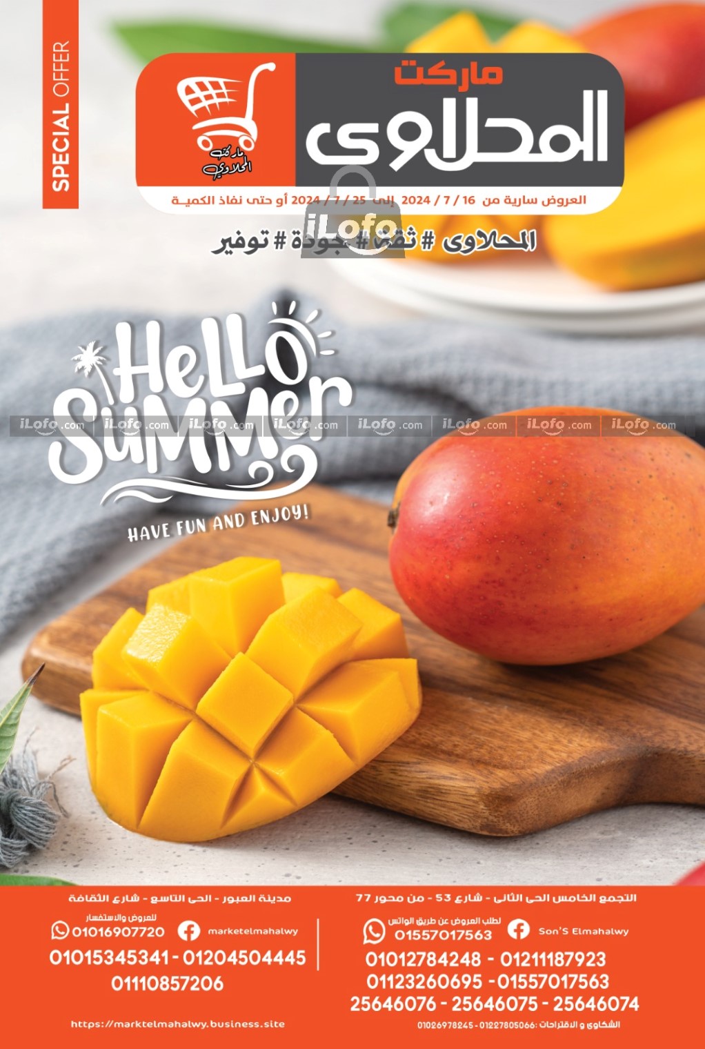 Page 1 at Summer Deals at El mhallawy Hyper