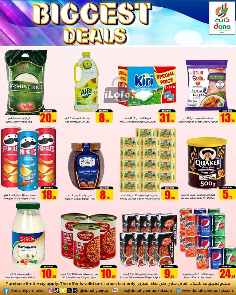 Page 4 at Biggest Deals at Dana hypermarket Qatar