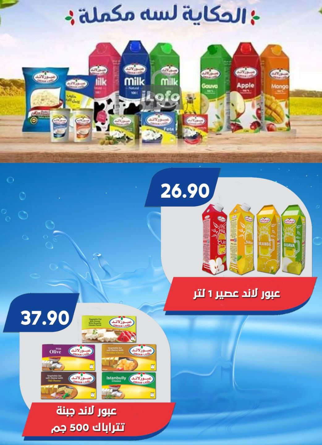 Page 17 at Summer Deals at Bassem Market Helioplis & Rehab