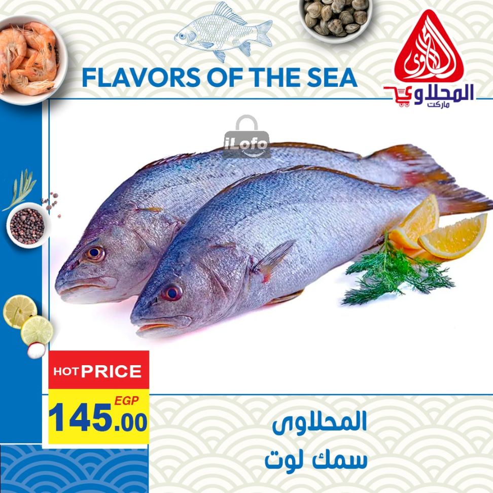 Page 1 at Enjoy Summer Deals at El Mahlawy market