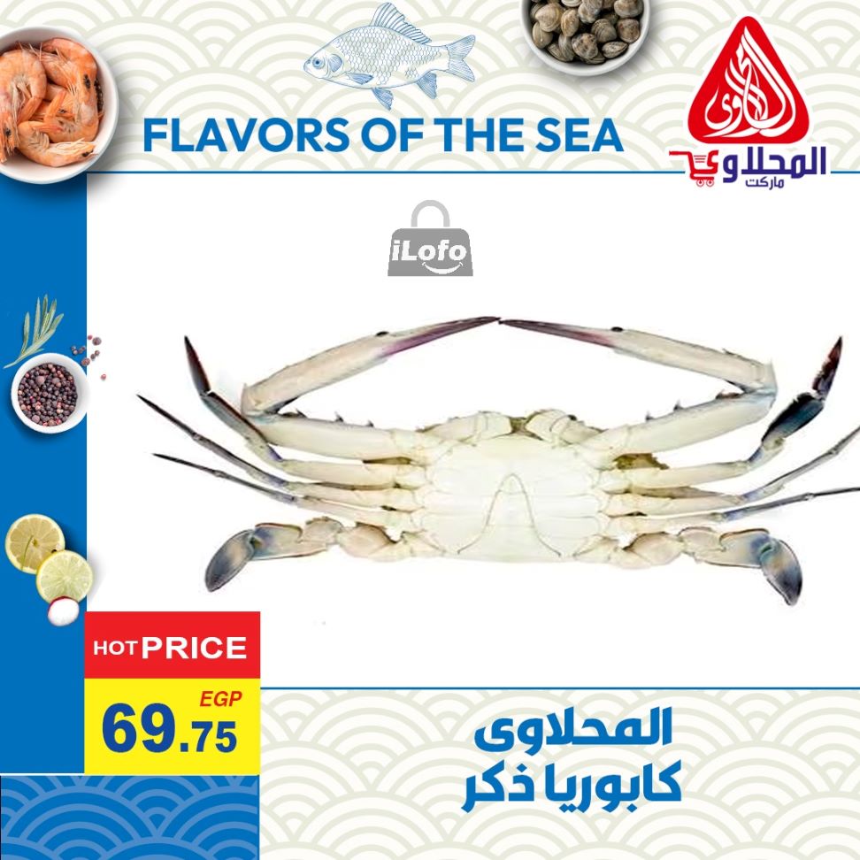 Page 3 at Enjoy Summer Deals at El Mahlawy market