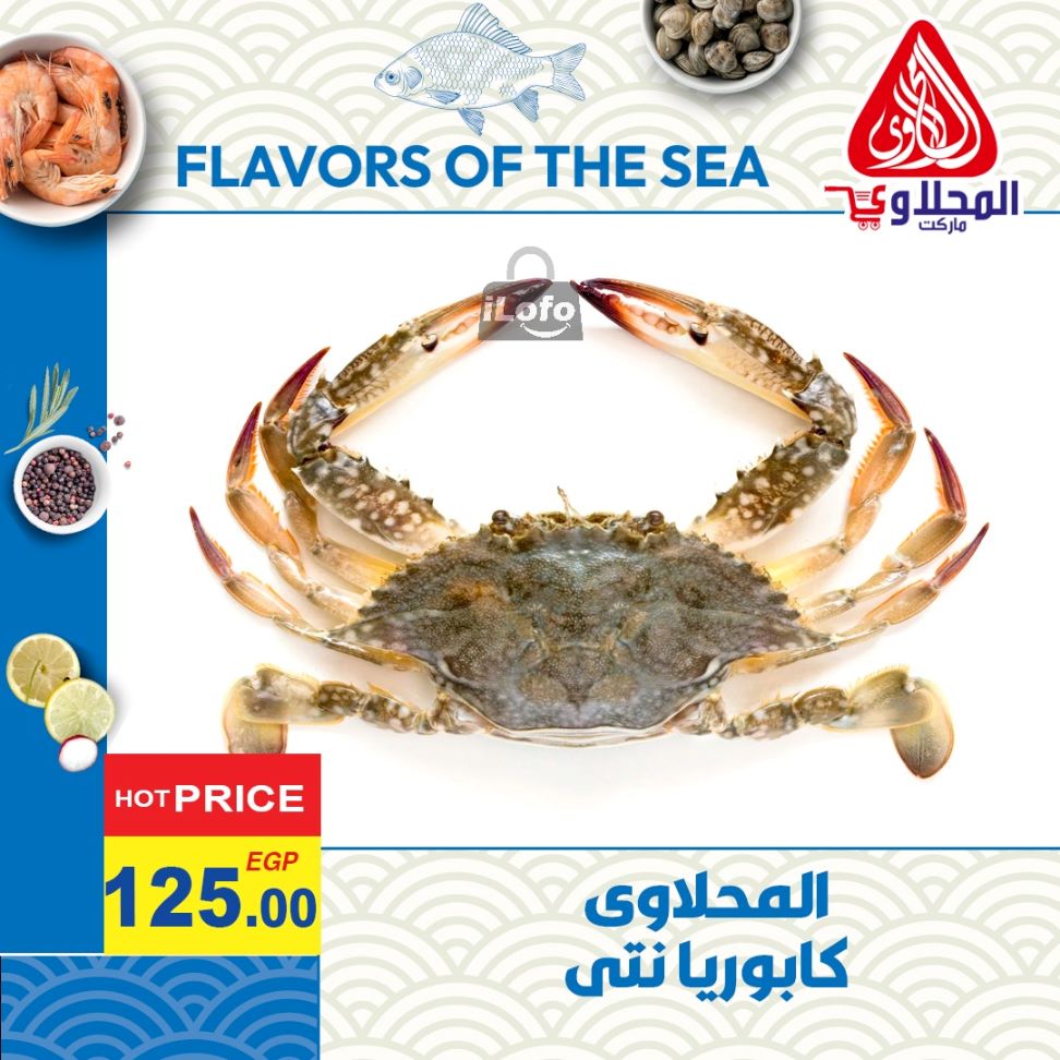 Page 4 at Enjoy Summer Deals at El Mahlawy market