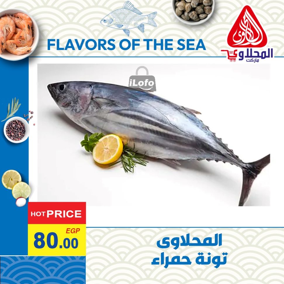 Page 7 at Enjoy Summer Deals at El Mahlawy market