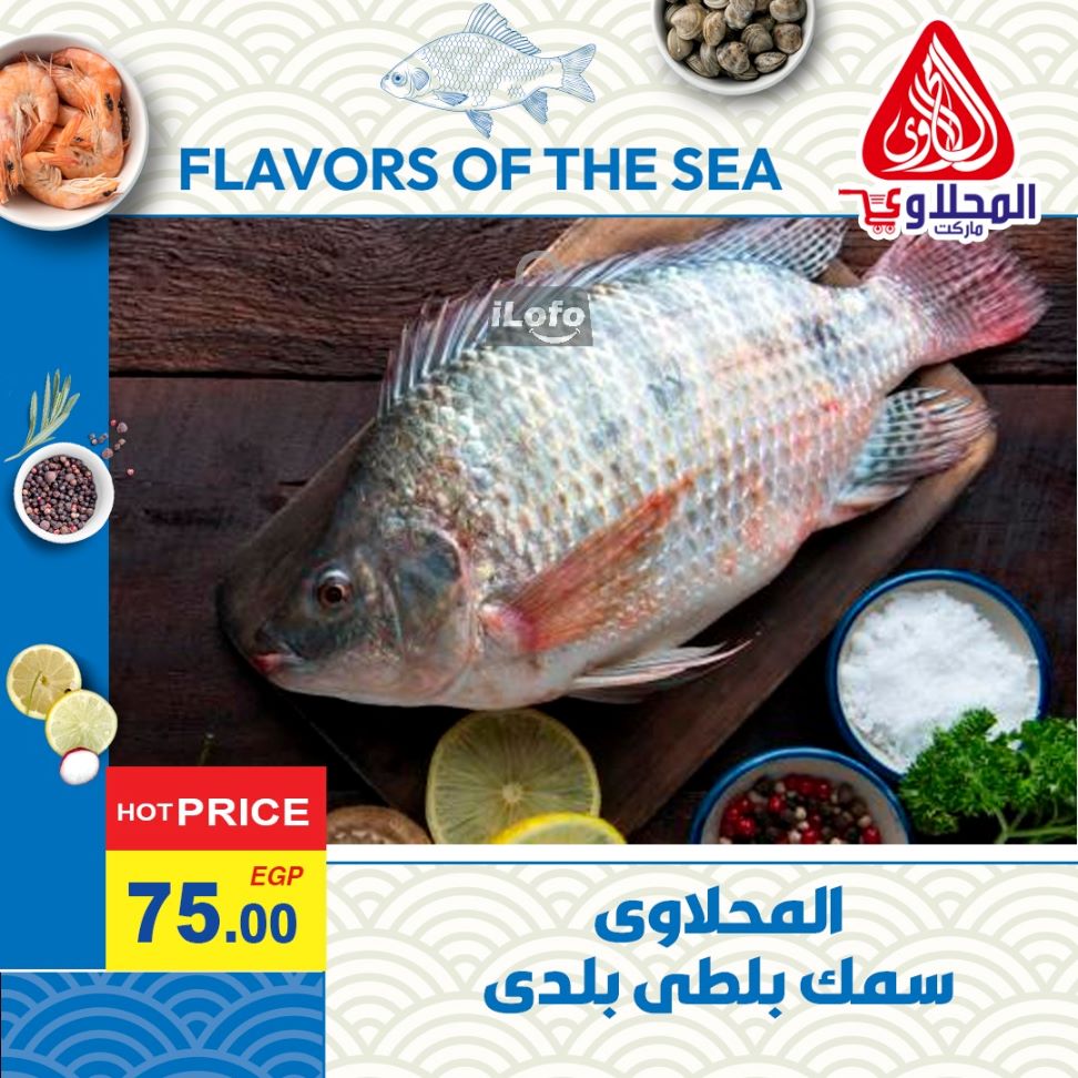 Page 8 at Enjoy Summer Deals at El Mahlawy market