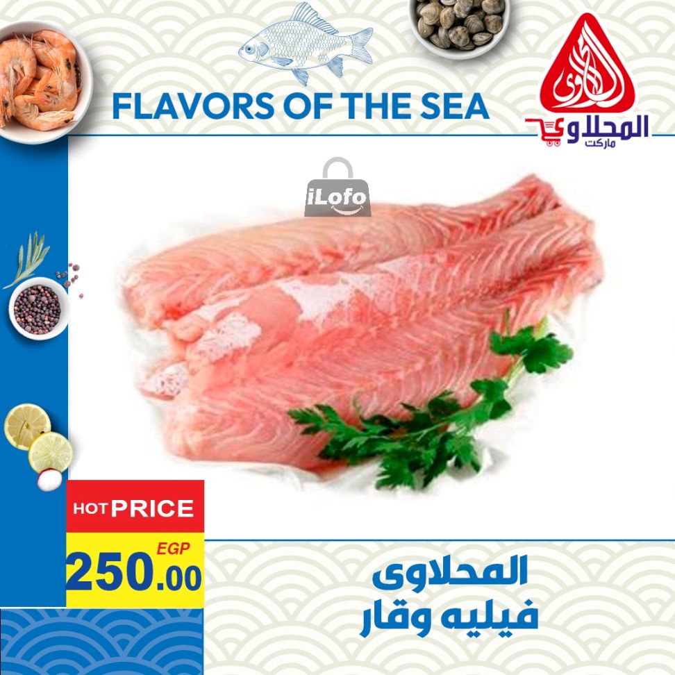 Page 9 at Enjoy Summer Deals at El Mahlawy market