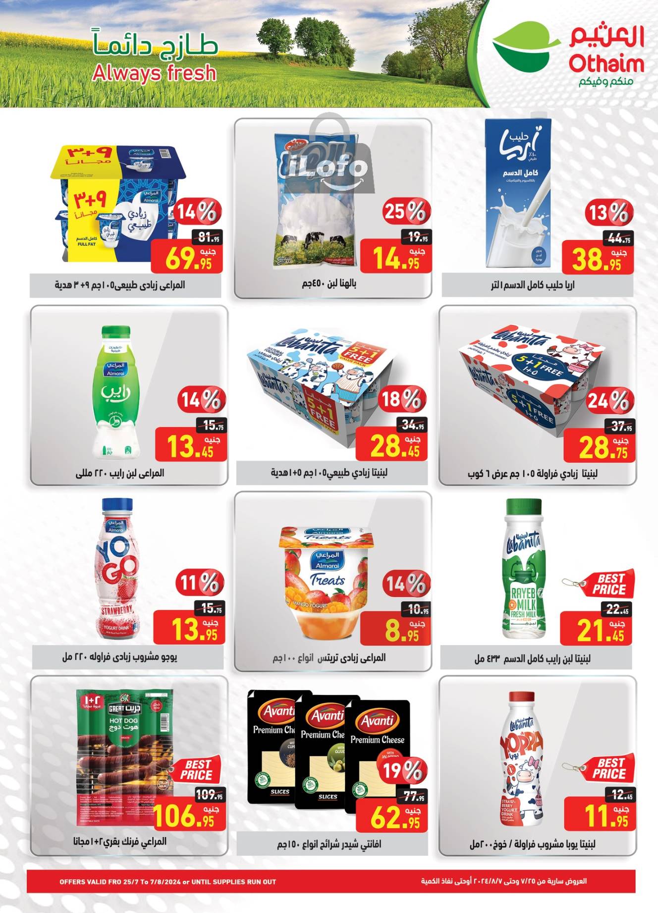 Page 10 at Anniversary offers at Othaim Markets Egypt