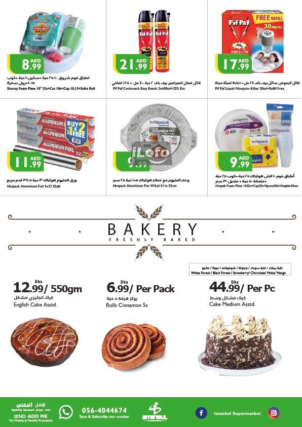 Page 22 at Weekend Offers at Istanbul Market UAE