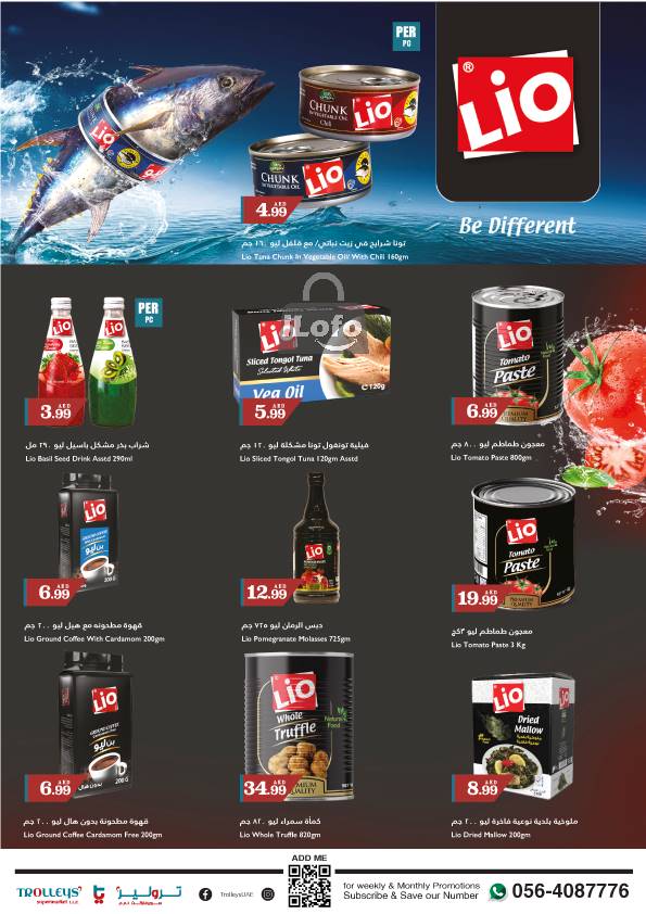 Page 17 at Weekend Deals at Trolleys supermarket UAE