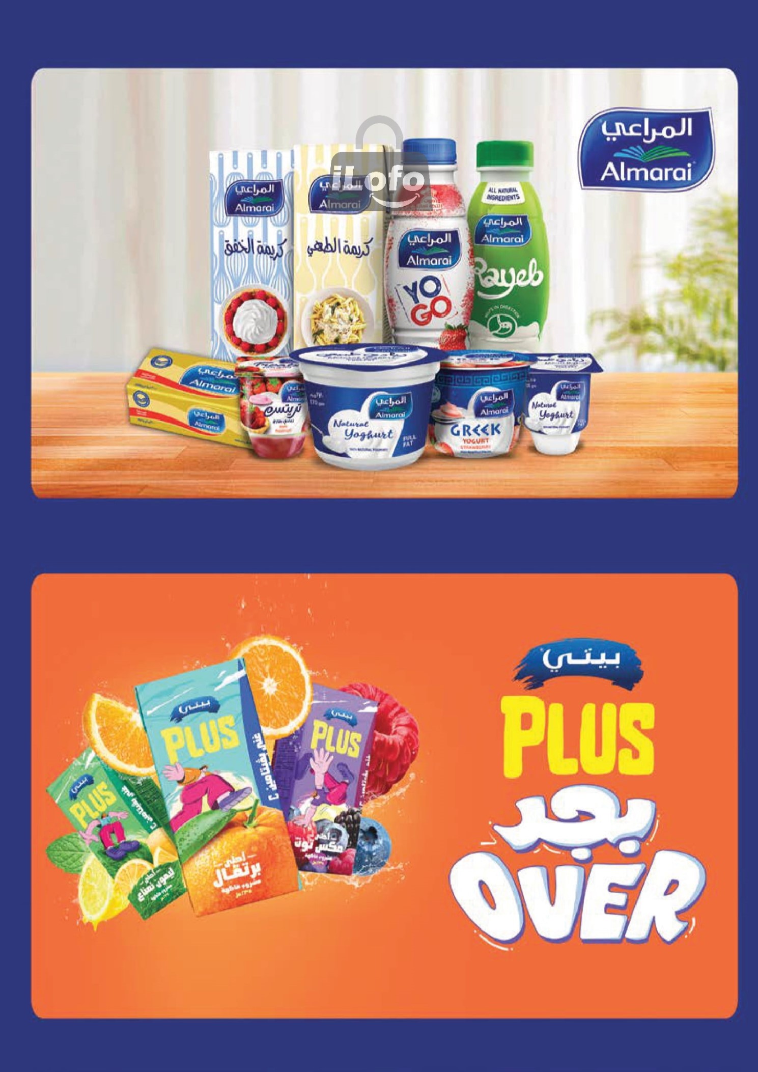 Page 34 at Mango Festival offers at Mahmoud Elfar Market