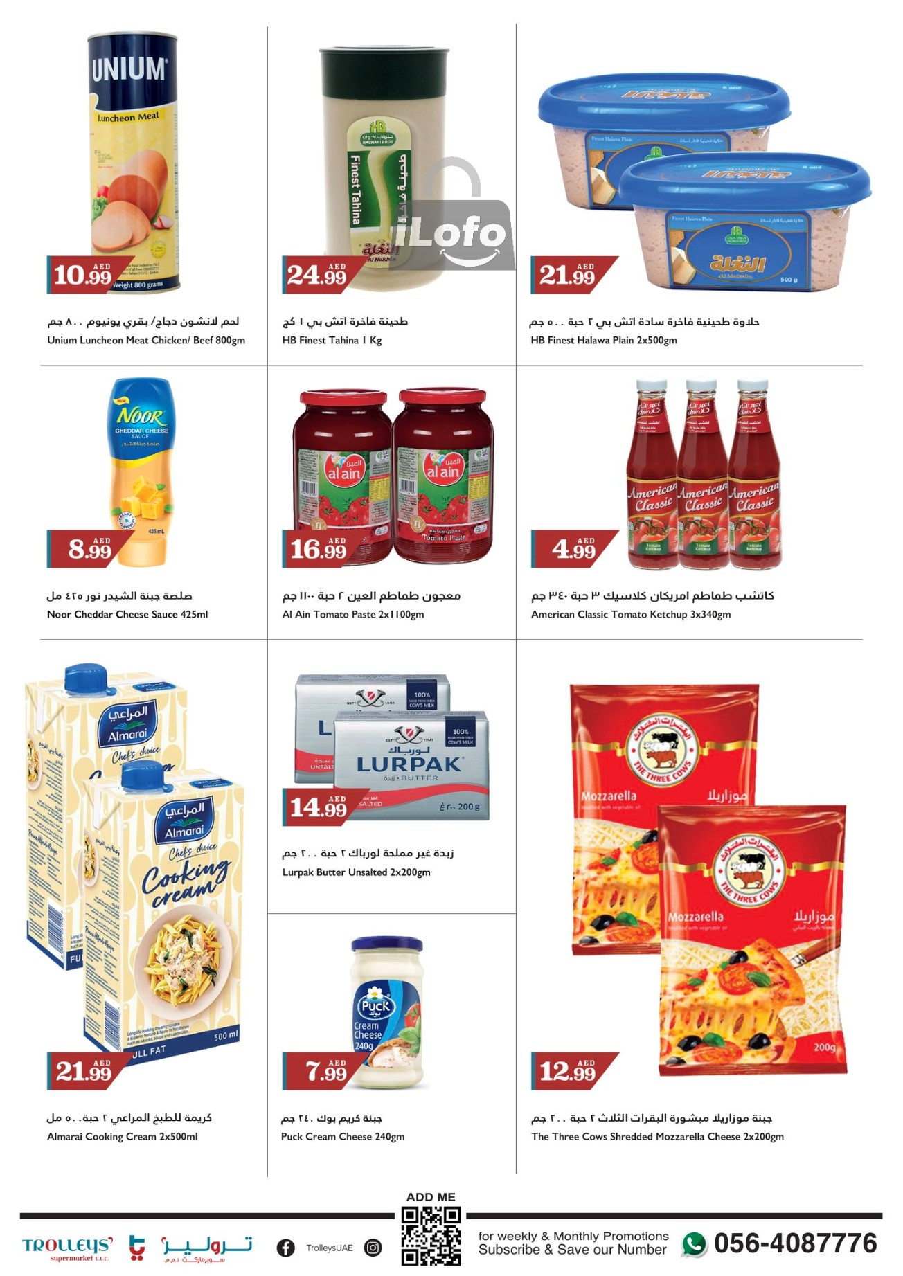 Page 10 at Weekend Deals at Trolleys supermarket UAE