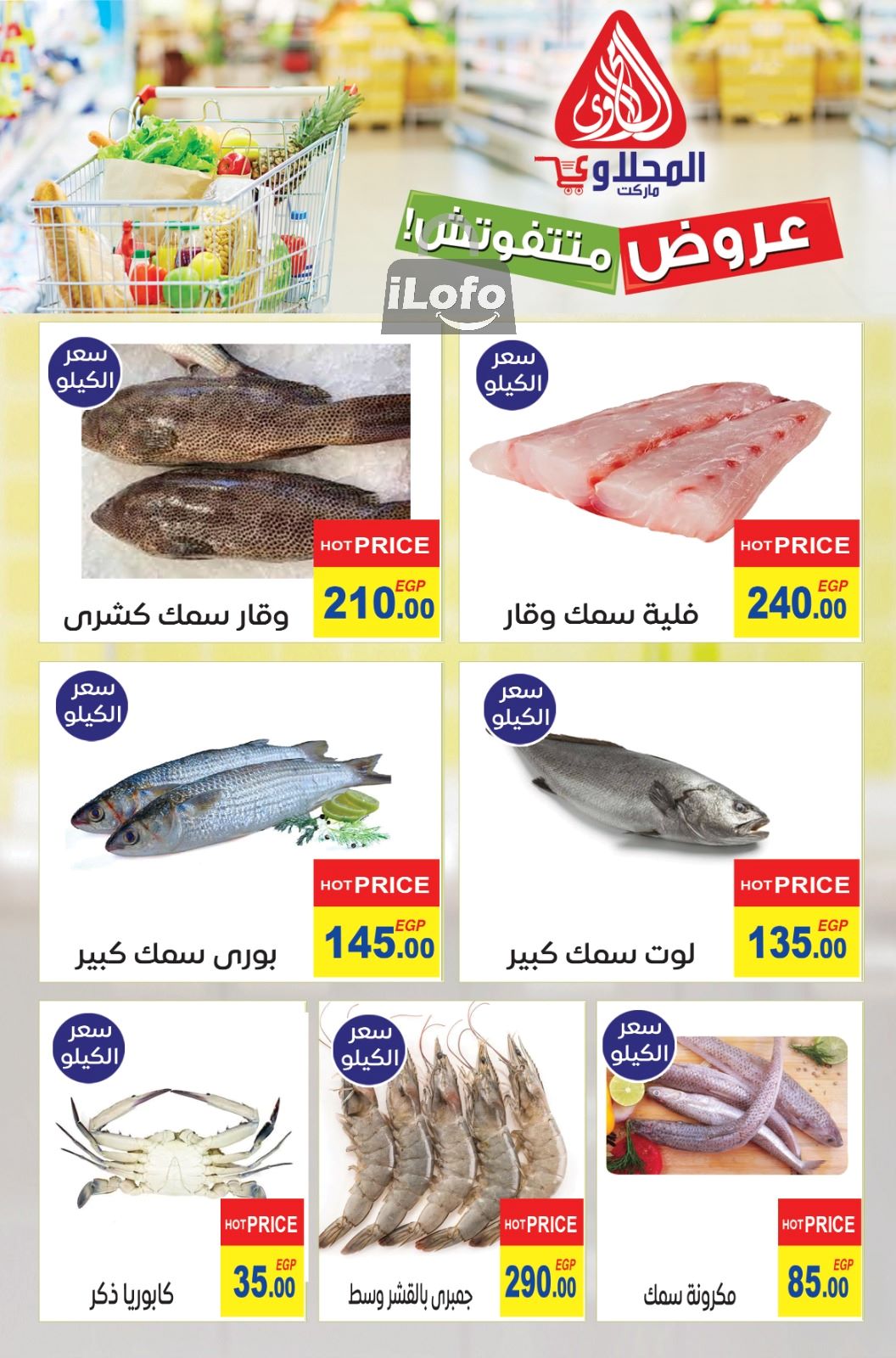 Page 10 at Summer Deals at El Mahlawy market