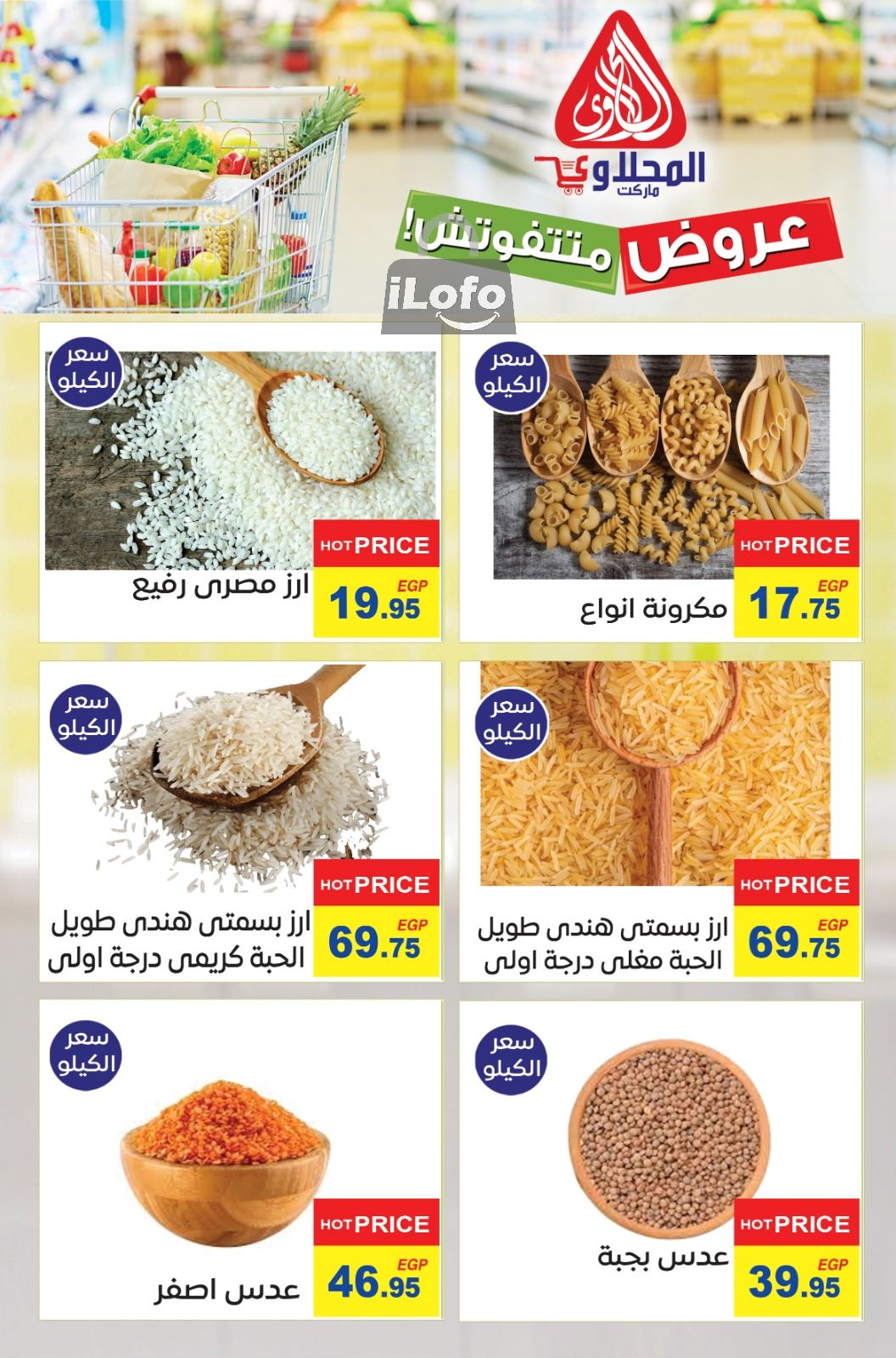 Page 11 at Summer Deals at El Mahlawy market