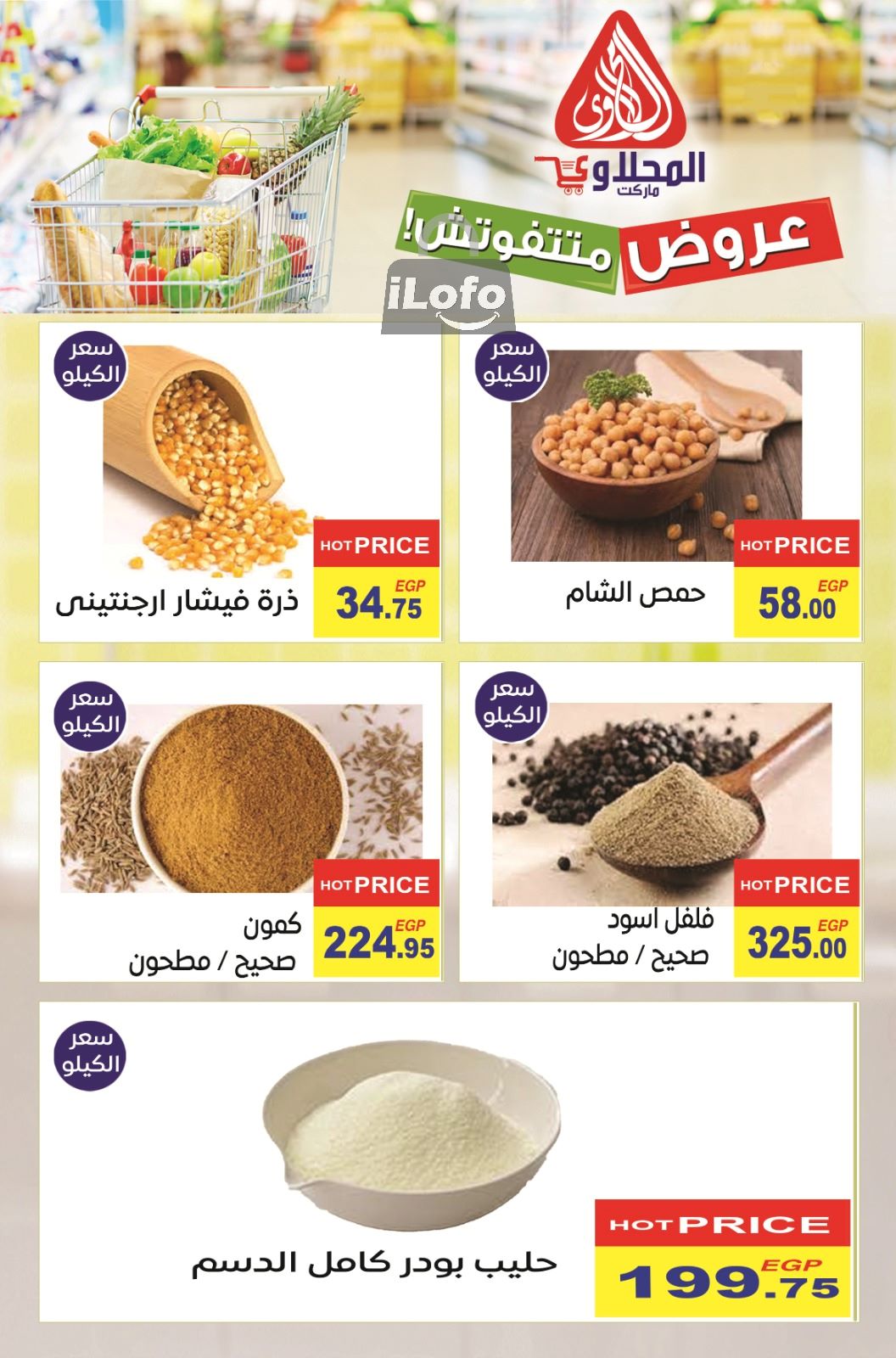 Page 12 at Summer Deals at El Mahlawy market