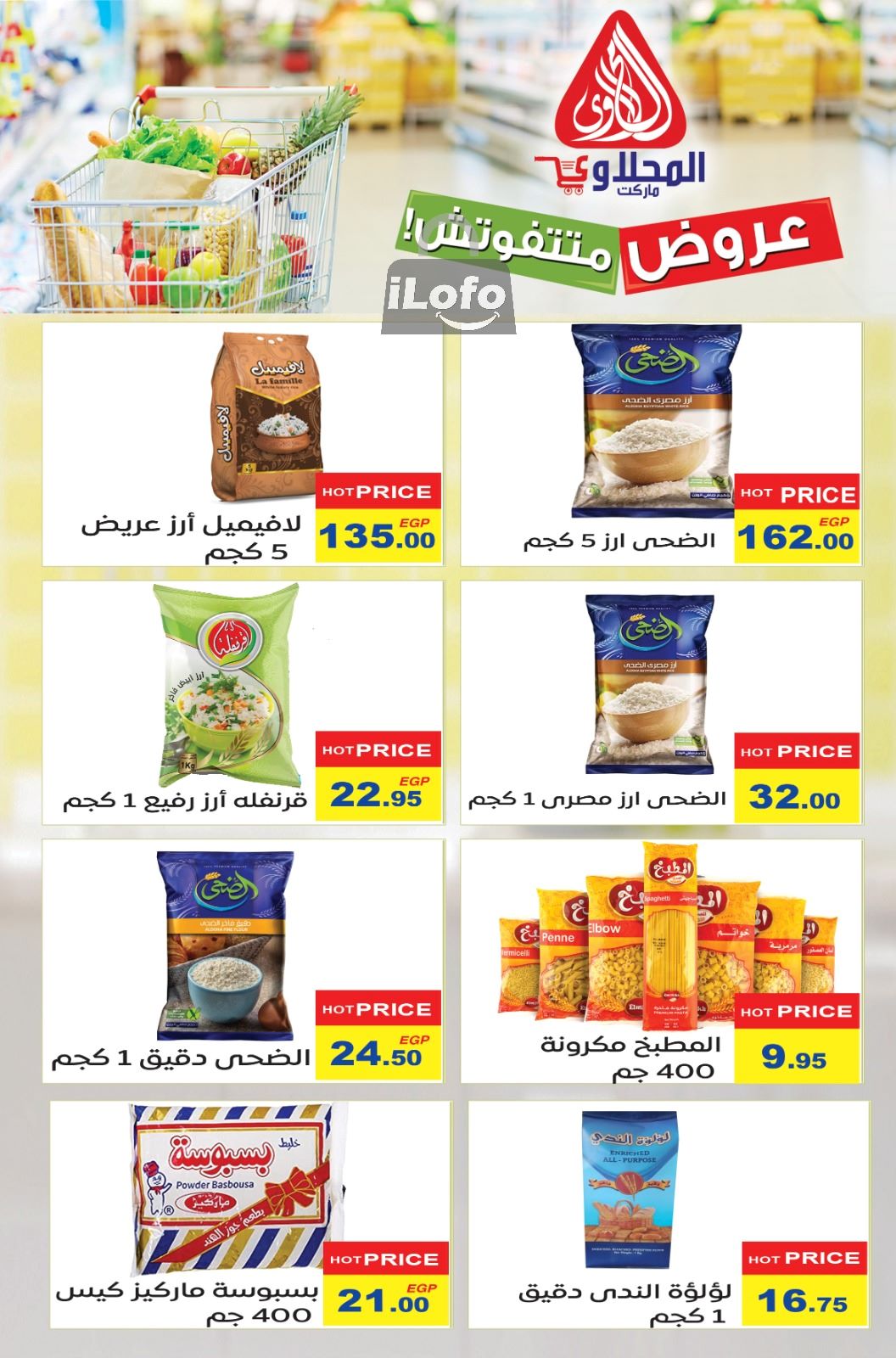 Page 17 at Summer Deals at El Mahlawy market