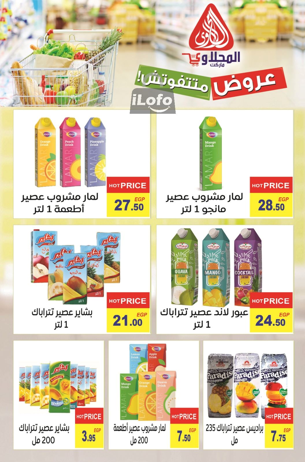 Page 22 at Summer Deals at El Mahlawy market