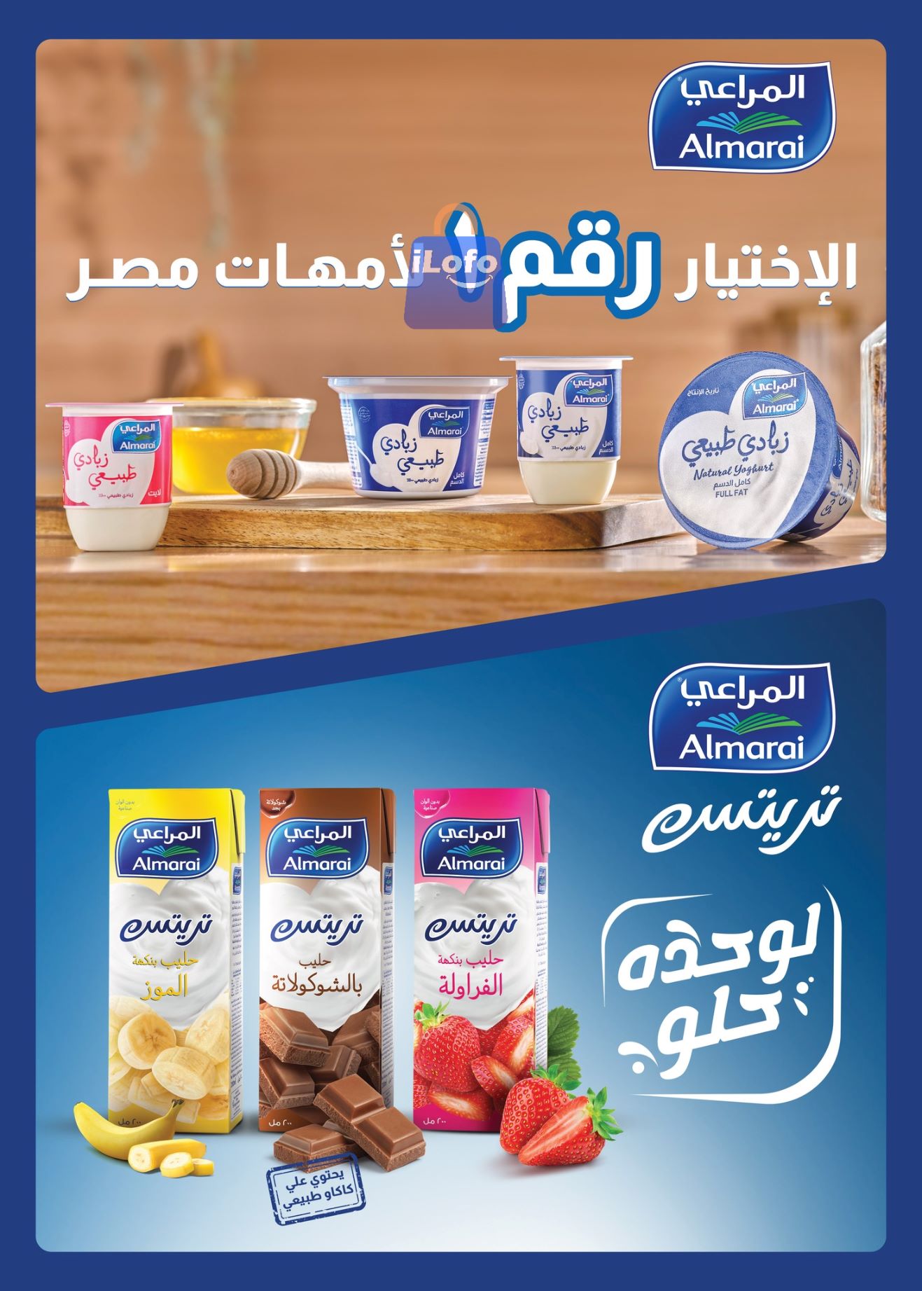 Page 10 at Anniversary Offers at Othaim Markets Egypt