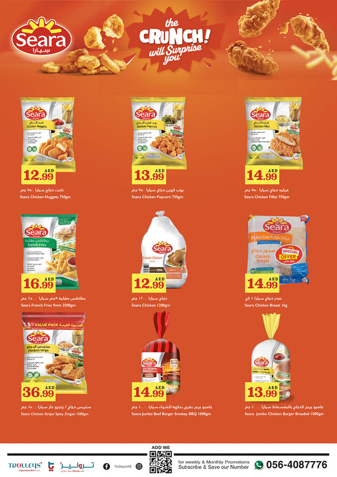 Page 11 at October Sale at Trolleys supermarket UAE