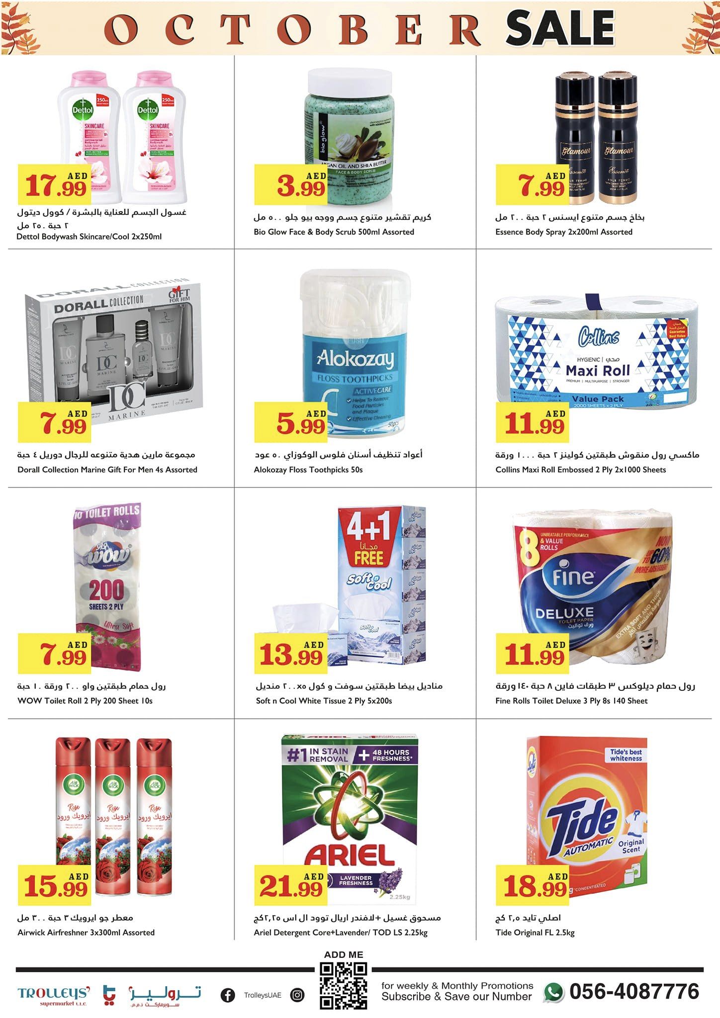 Page 13 at October Sale at Trolleys supermarket UAE