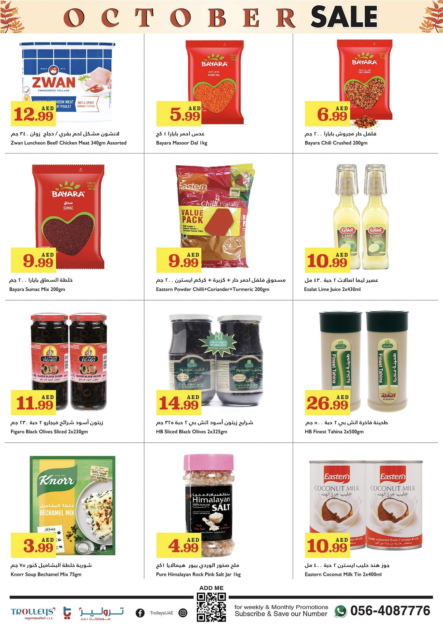 Page 8 at October Sale at Trolleys supermarket UAE