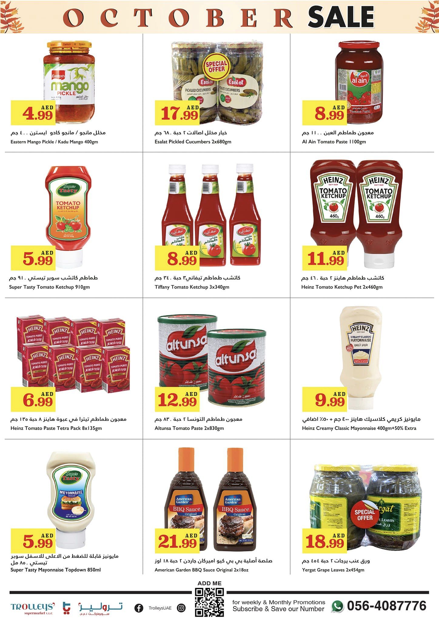 Page 9 at October Sale at Trolleys supermarket UAE