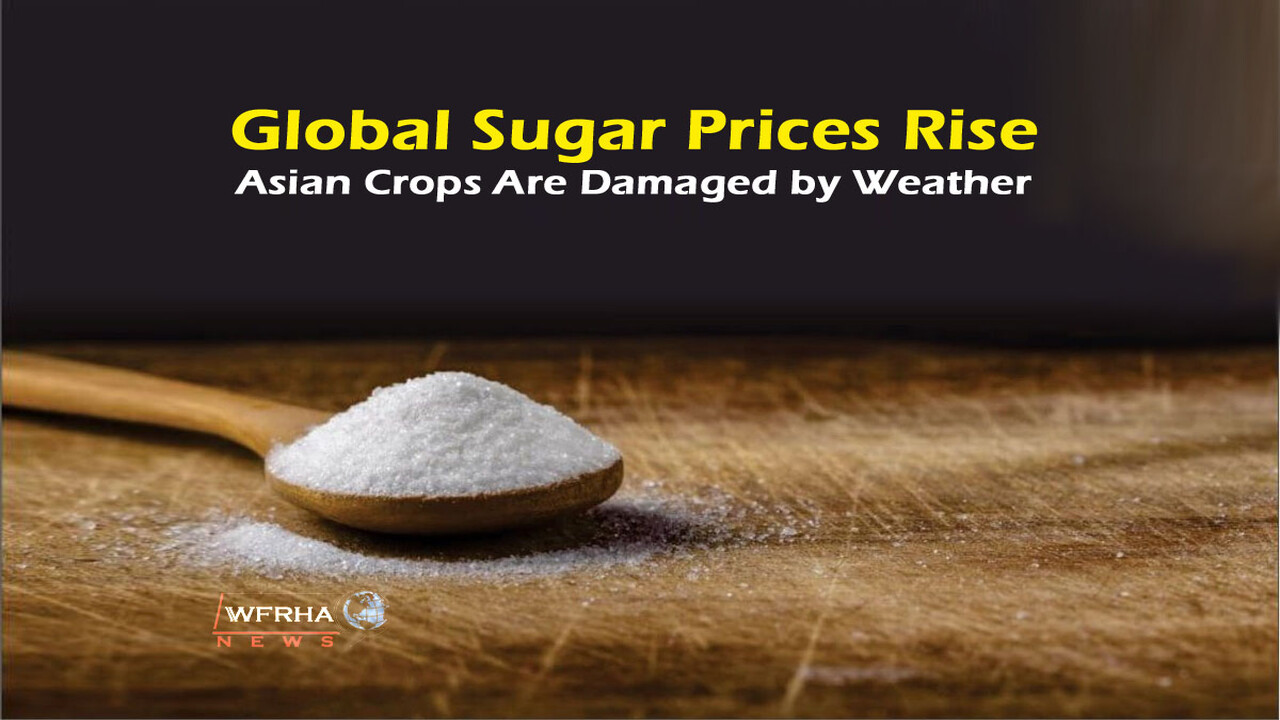Global Sugar Prices Rise as Asian Crops Are Damaged by Weather